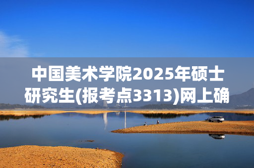 中国美术学院2025年硕士研究生(报考点3313)网上确认指南_学习网官网