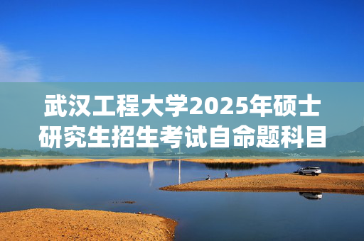 武汉工程大学2025年硕士研究生招生考试自命题科目考试大纲_学习网官网