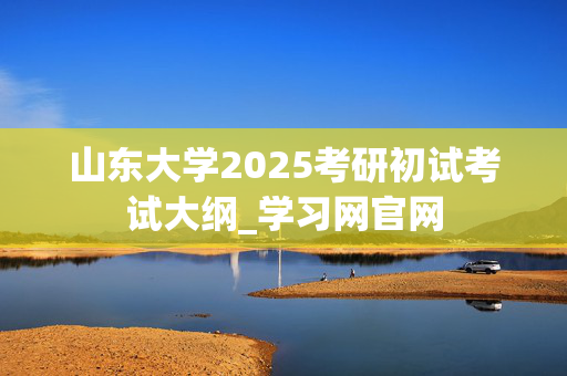 山东大学2025考研初试考试大纲_学习网官网