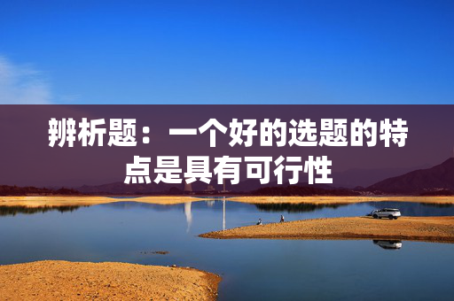 辨析题：一个好的选题的特点是具有可行性